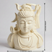 Charming Shiva Statue