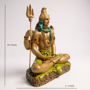Sacred Shiva Statue