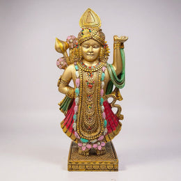 Divine Lord Shreenath Ji Idol